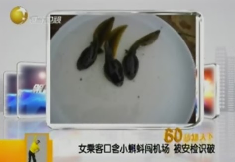 女乘客攜3只蝌蚪遭廣州機(jī)場(chǎng)行李安檢機(jī)掃描發(fā)現(xiàn)[圖]