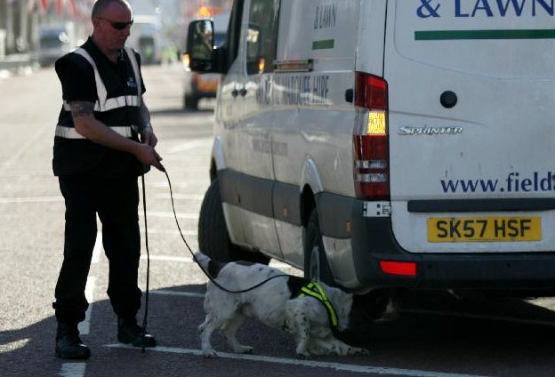倫敦馬拉松賽采用警犬與安檢門等設(shè)備共同防御不法活動[圖]